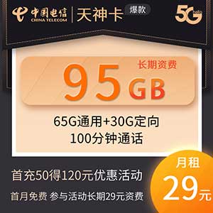 电信天神卡 29元65G通用+30G定向+100通话-全民淘