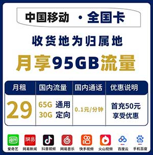 【移动天佛卡】29元/月：65G全国流量+30G定向流量（本地归属地/全国无禁区）移动流量卡-全民淘