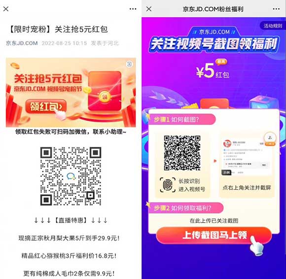京东关注视频号截图领最高5元现金红包 视频号宠粉节-全民淘