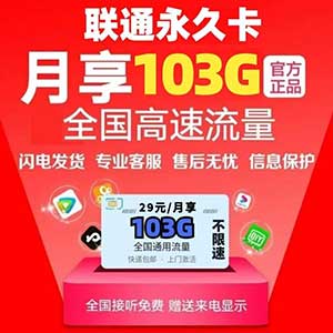 【联通永久卡】29元月租=103全国通用流量+100分钟全国语音（长期套餐官方可查）-全民淘